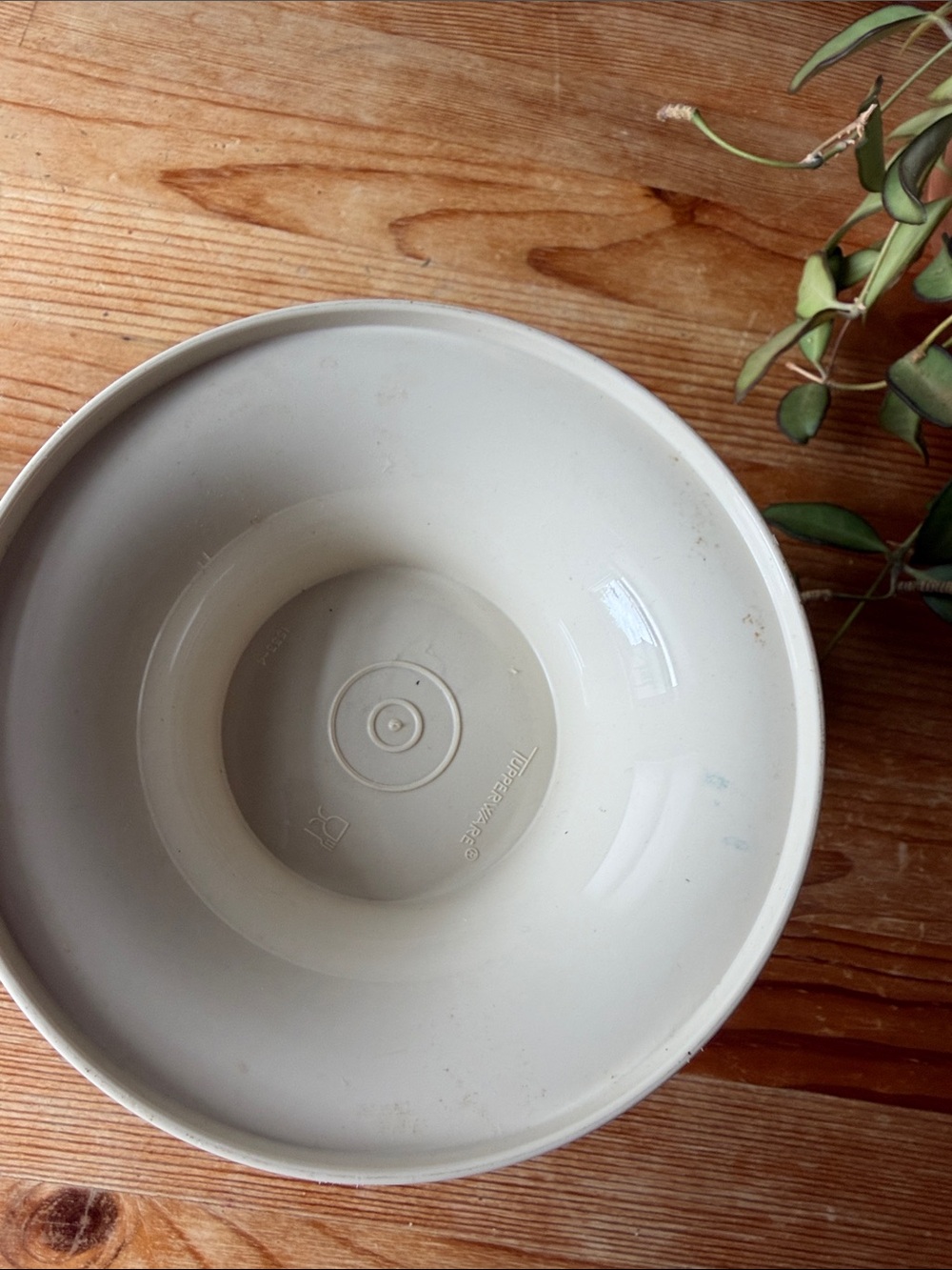 Vintage Tupperware Container - Picture 4 of 6